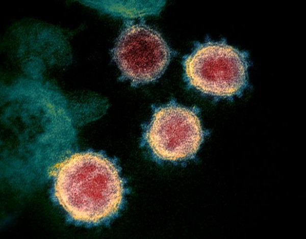 7a00e2df8e09f11b5031853accbdeba9_1637945031_3619.jpg