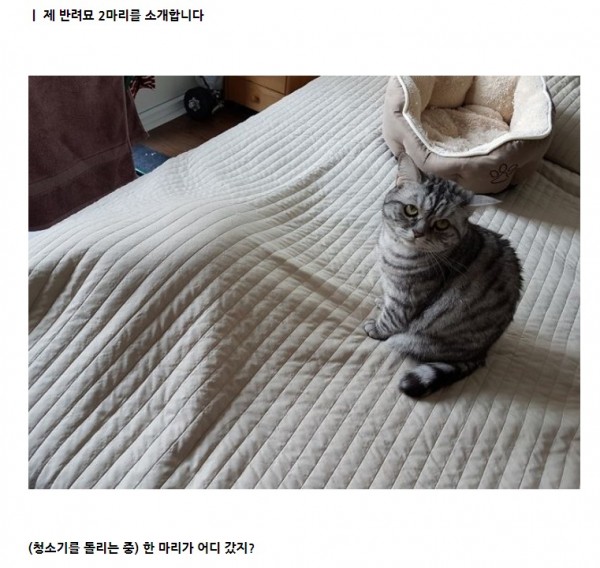34adf9ffddf81f81ad46d31b77b62e51_1685370736_7296.jpeg